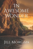 In Awesome Wonder B09CBYHWCR Book Cover