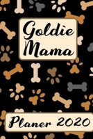 GOLDIE MAMA Planer 2020: Kalender Golden Retriever Hundemama Terminplaner Hunde Terminkalender Wochenplaner, Monatsplaner & Jahresplaner Hundefrauchen & Hundebesitzer DIN A 5 Taschenkalender 120 Seite 1702131750 Book Cover