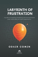 Labyrinth of Frustration: A guide to accepting, processing, and moving forward when reality does not match expectations. B0F37GGTYL Book Cover