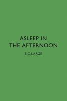 Asleep in the Afternoon 0907259375 Book Cover
