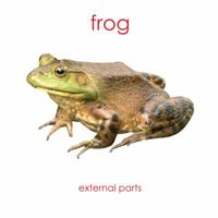 Frog - external Parts : External Anatomy of the Amphibian B001AVLQOM Book Cover