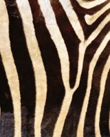 2020 Planner: Zebra Planner 2020 - 2020 Planner Weekly and Monthly Featuring Zebra Fur - Zebra Gift 1670753859 Book Cover