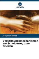 Versöhnungsmechanismen am Scheideweg zum Frieden 6206046893 Book Cover