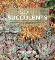 Soft Succulents: Aeoniums, Echeverias, Crassulas, Sedums, Kalanchoes, and Related Plants 0991584635 Book Cover