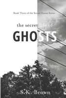 The Secret Life of Ghosts: The Suspenseful Culmination 1689621907 Book Cover