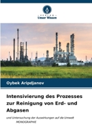 Intensivierung des Prozesses zur Reinigung von Erd- und Abgasen (German Edition) 6207011015 Book Cover