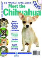 The American Kennel Club's Meet the Chihuahua: The Responsible Dog Owner's Handbook 1937049973 Book Cover