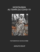 MONTAUBAN AU TEMPS DU COVID-19: PHOTOGRAPHIE DE RUE EN AUTOMNE B09NZ11GPN Book Cover