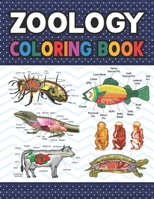 Zoology Coloring Book: Animal Anatomy Learning Workbook. Zoology Coloring Book. Kids Anatomy Coloring Book. Zoology Coloring Book for Men & Women. Zoology Coloring and Activity Book for Boys & Girls. B08VY76ZHN Book Cover