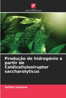 Wasserstoffproduktion aus Caldicellulosiruptor saccharolyticus 6206024229 Book Cover