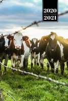 Cow Cattle Farming Farmer Week Planner Weekly Organizer Calendar 2020 / 2021 - In the Pasture: Cute Wildlife Animal Pet Bullet Journal Notebook Diary in 6" x 9" Inch Pocket Size 1675220905 Book Cover
