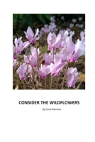 Consider the Wildflowers 1086844882 Book Cover