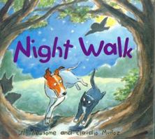 Night Walk 0618324585 Book Cover