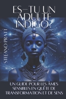 Es-tu un indigo ?: Un guide pour les âmes sensibles en quête de transformation et de sens (French Edition) B0DPX28W9L Book Cover