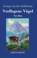 Verflogene Vögel: Novellen 3743743086 Book Cover