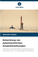 Entwicklung von polymineralischen Zusammensetzungen (German Edition) 6209180590 Book Cover
