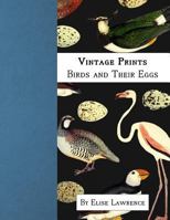 Vintage Prints: Birds and Their Eggs 1544991568 Book Cover