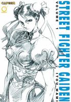 Street Fighter Gaiden, Volume 1 1926778111 Book Cover