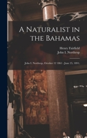 A naturalist in the Bahamas: John I. Northrop, October 12 1861 - June 25, 1891; 101786215X Book Cover
