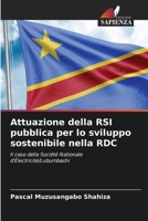Attuazione della RSI pubblica per lo sviluppo sostenibile nella RDC (Italian Edition) 6207753631 Book Cover