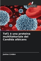 Tef1 è una proteina multifattoriale del Candida albicans (Italian Edition) 6203573256 Book Cover