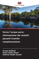 Verso l'acqua pura: eliminazione dei metalli pesanti tramite complessazione (Italian Edition) 6209946933 Book Cover