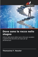 Dove sono le rocce nello stagno: Utilizzo della teoria della razza critica per accedere a opportunità educative più eque per gli afroamericani 6203175978 Book Cover