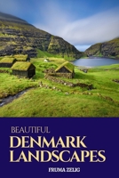 Beautiful Denmark Landscapes: An Adult Picture Book and Nature City Travel Photography Images with NO Text or Words for Seniors, The Elderly, Dementia ... For Easy Relaxation, Tranquility And Peace B08KH132H1 Book Cover