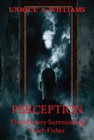 Perception: The Mystery Surrounding Caleb Fisher 1087858755 Book Cover