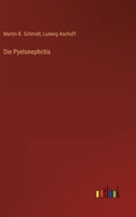 Die Pyelonephritis 3846024678 Book Cover