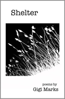 Shelter 1932870490 Book Cover