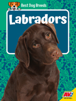 Labradors (Best Dog Breeds) B0GXX7ND3N Book Cover
