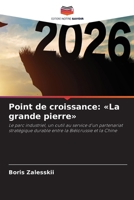 Point de croissance: La grande pierre (French Edition) 6630043340 Book Cover
