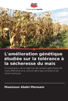 L'amélioration génétique étudiée sur la tolérance à la sécheresse du maïs 6203395897 Book Cover