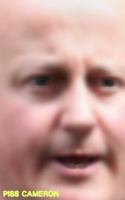 Piss Cameron 099768979X Book Cover