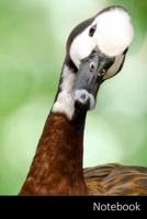 Notebook: ガチョウ、鳥、動物、鳥 ノートブック/ 日記 / ライティングブック / ノート 1706331606 Book Cover