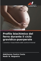 Profilo biochimico del ferro durante il ciclo gravidico-puerperale: L'anemia e l'esaurimento delle scorte di minerali 6206043347 Book Cover