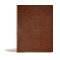 CSB Life Connections Study Bible, Brown LeatherTouch, Indexed 1433619547 Book Cover