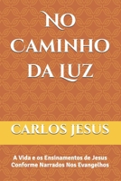 No Caminho da Luz: A Vida e os Ensinamentos de Jesus Conforme Narrados Nos Evangelhos (Portuguese Edition) 6501216990 Book Cover