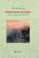 Stolpersteine im Leben - Krisen erkennen und überstehen 3347132475 Book Cover