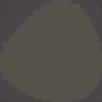 Bad Animals: A Collection of Stories 158851725X Book Cover