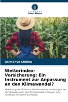 Wetterindex-Versicherung: Ein Instrument zur Anpassung an den Klimawandel? 6205610825 Book Cover