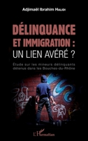 Délinquance et immigration : un lien avéré ?: Étude sur les mineurs délinquants détenus dans les Bouches-du-Rhône (French Edition) 2343097666 Book Cover