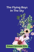 The Flying Boys in the Sky 9369871675 Book Cover
