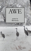 Awe 1950375161 Book Cover