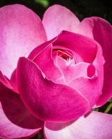 Take A Minute to be Grateful: Gratitude Journal: 150-page  Guided  Gratitude  Journal 1677892498 Book Cover