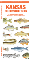 Kansas Freshwater Fishes: A Folding Pocket Guide to Native and Introduced Species 1620058316 Book Cover