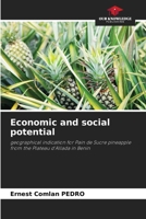 Economic and social potential 6208296528 Book Cover