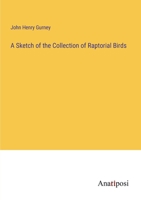 A Sketch of the Collection of Raptorial Birds 3382172623 Book Cover