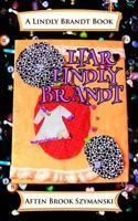 Liar Lindly Brandt 098950641X Book Cover